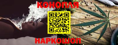 крисы Моздок