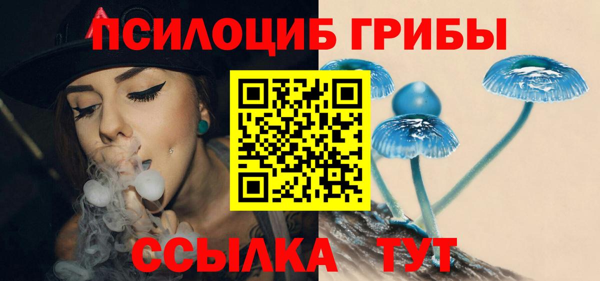 Псилоцибиновые грибы Magic Shrooms  Вход с VPN  наркотики  Тавда  Псилоцибиновые грибы Psilocybine cubensis 