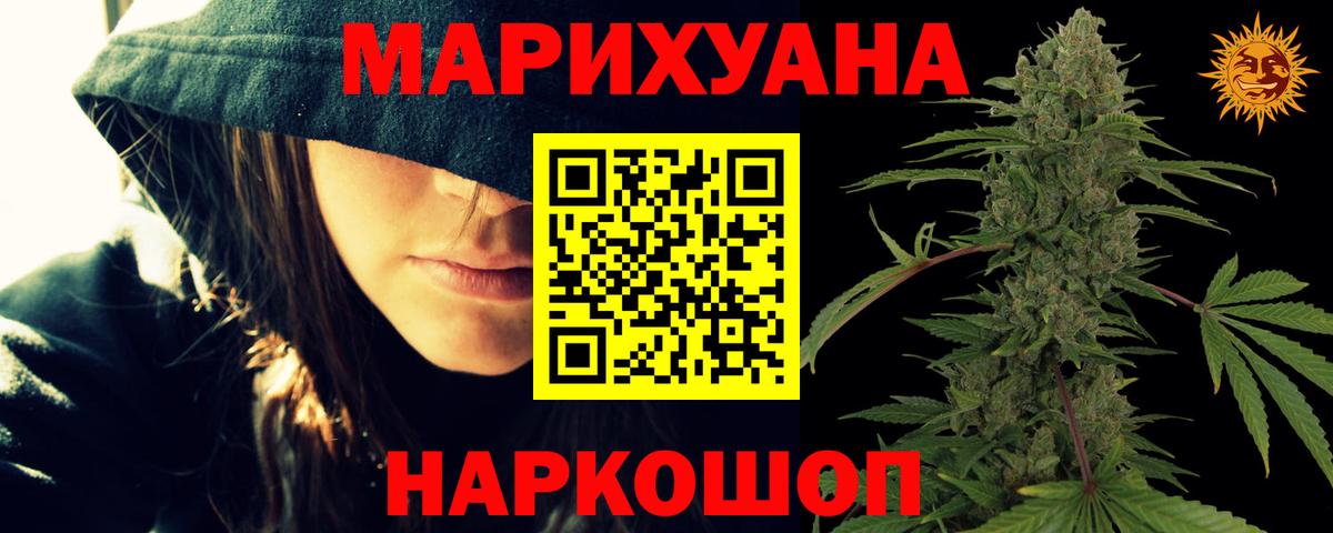 Каннабис семена Тавда